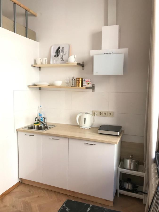 Apartment Centro Near Gedimas Avenue